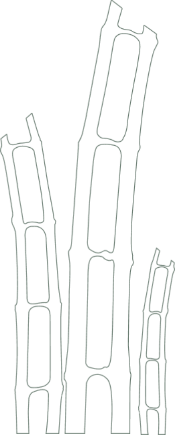 Similiar Project Background