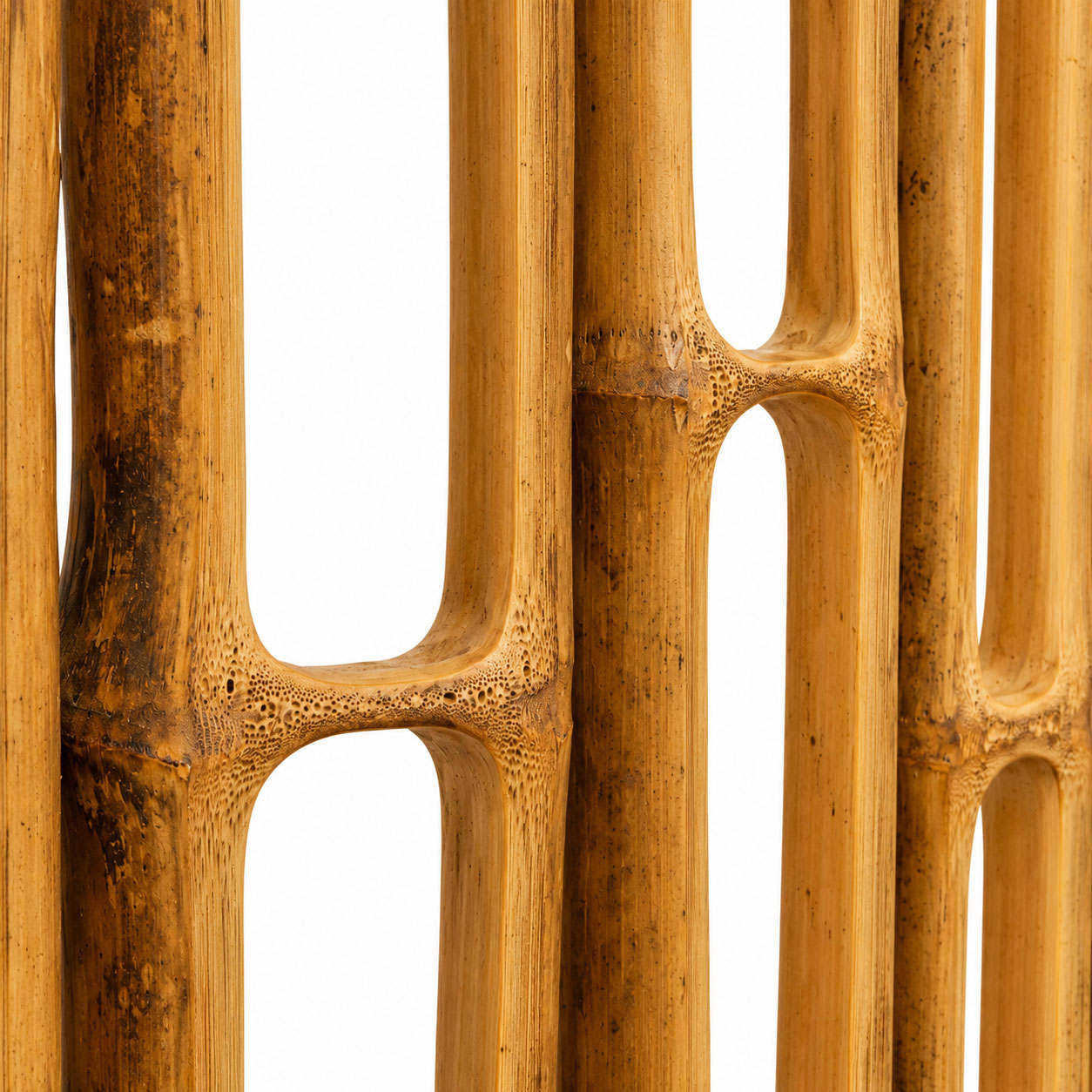 Bamboo Bone Bamboo Bone"