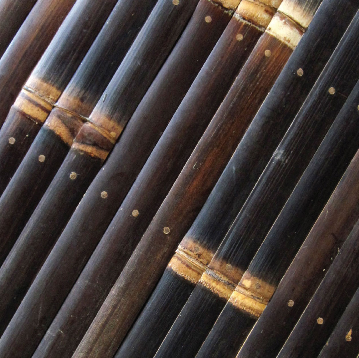 Black Tali Split Black Tali Split"