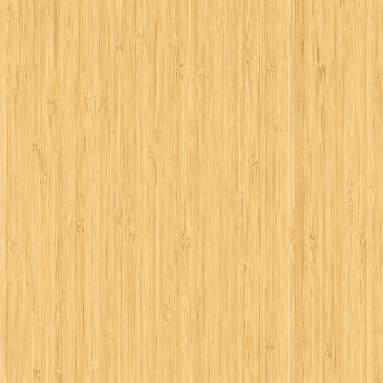 Laminated Plank Laminated Plank"