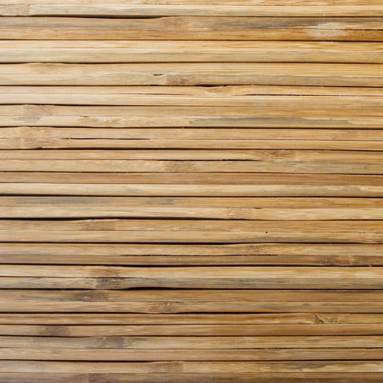 Plank Renggang Plank Renggang"